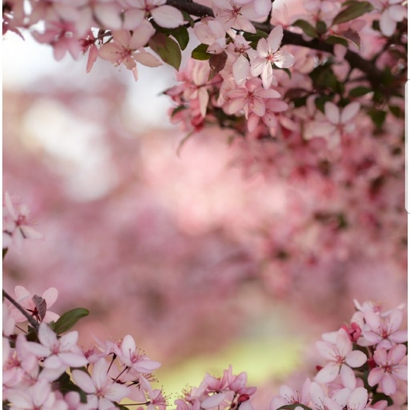 Meet your Posher, Olesia - Picture 5 of 5